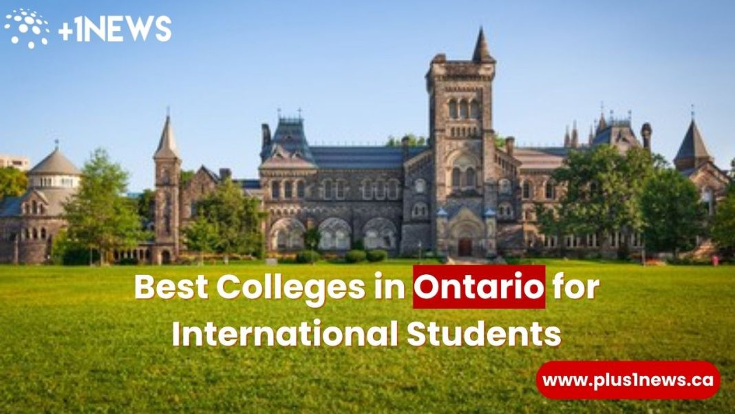 Best Colleges In Ontario For International Students 2023